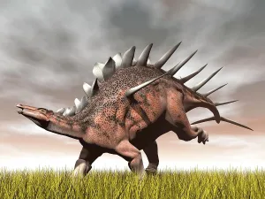 Stegosaur: Kentrosaurus dinosaur running on the yellow grass