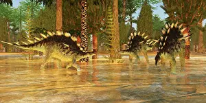 Thyreophora: Kentrosaurus dinosaurs in prehistoric forest