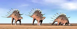Stegosaurid: Three Kentrosaurus dinosaurs standing in the desert