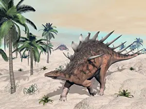 Stegosaur: Kentrosaurus dinosaurs walking in the desert among palm ?