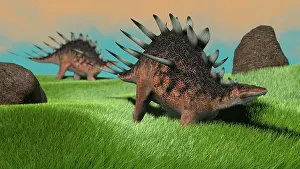 Stegosaurid: Two Kentrosaurus dinosaurs walking across a grassy field