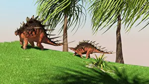 Aethiopicus: Two Kentrosaurus dinosaurs walking across an open field