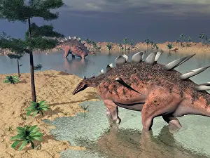 Stegosaur: Kentrosaurus dinosaurs walking in the water next to sand ?
