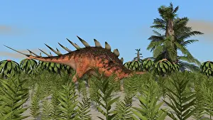 Stegosaurid: Kentrosaurus grazing amongst desert plants
