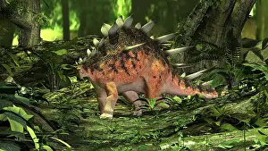 Thagomizer: Kentrosaurus in a prehistoric forest
