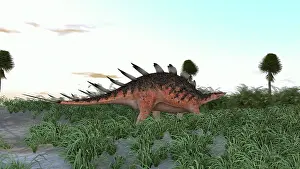 Stegosaurid: Kentrosaurus in a prehistoric landscape
