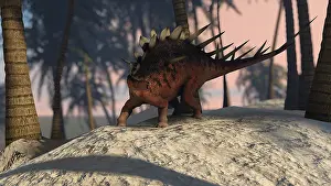 Thagomizer: Kentrosaurus roaming in a tropical setting