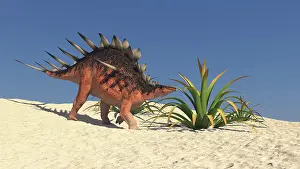 Kentrosaurus: Kentrosaurus walking across a barren landscape