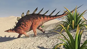 Aethiopicus: Kentrosaurus walking across a barren landscape