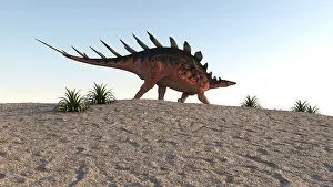Thagomizer: Kentrosaurus walking across a barren landscape