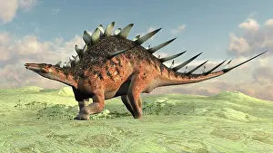Thagomizer: Kentrosaurus walking across a barren landscape