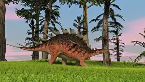Aethiopicus: Kentrosaurus walking across a grassy field