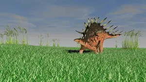 Aethiopicus: Kentrosaurus walking across a grassy field
