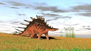 Aethiopicus: Kentrosaurus walking across a grassy field