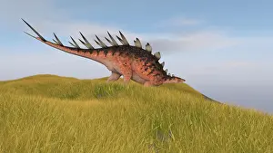 Thagomizer: Kentrosaurus walking through a grassy field