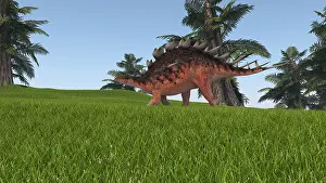 Thagomizer: Kentrosaurus walking across a grassy field