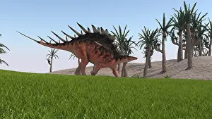 Thagomizer: Kentrosaurus walking across a grassy field