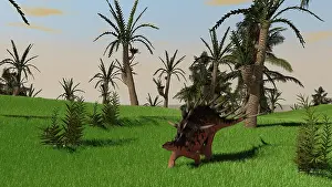 Aethiopicus: Kentrosaurus walking across an open field