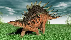 Aethiopicus: Kentrosaurus walking across prehistoric grasslands