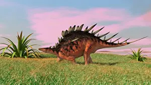 Thagomizer: Kentrosaurus walking across prehistoric grasslands