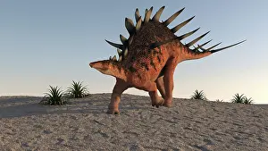 Aethiopicus: Kentrosaurus walking on sandy terrain