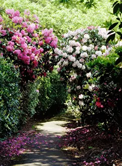 Kenwood: Kenwood House gardens