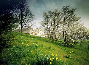 Corrie: Kenwood House in Sprin