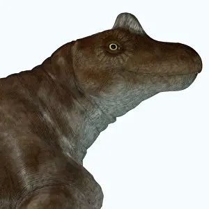 Synapsid: Keratocephalus dinosaur portrait
