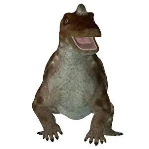 Synapsid: Keratocephalus dinosaur, front view