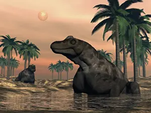 Moloch: Keratocephalus dinosaurs in a small lake at sunset