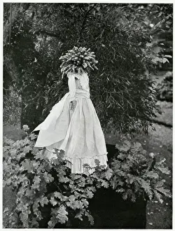 Nov17: Kern Baby 1902