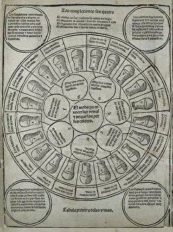 Urine: KETHAM, Johannes de (second half 15th century-begin