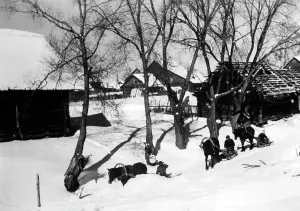 Heights: Kettle of Demyansk Pocket, 1942
