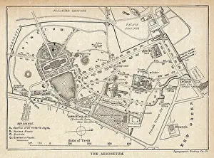 Arboretum: Kew - Botanical Garden