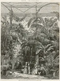 Glasshouse: Kew Gardens