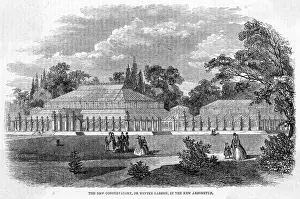 Arboretum: KEW GARDENS