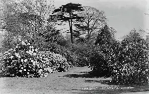 Textures: Kew Gardens in Black and White