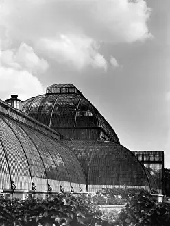 Decimus: KEW GARDENS PALM HOUSE