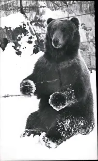 Chilling: Keystone Pictures Collection
