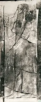 Kalhu: Khorsabad or Nimrud