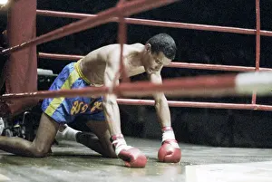 Knocked: Kickboxing World Championship Among Professionals