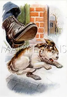 Kicked: KICKING A DOG