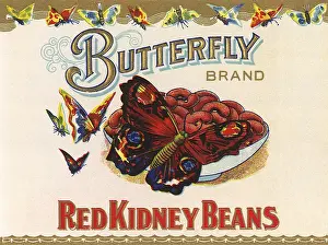 Vegtable: Kidney Bean Label
