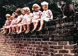 Sandles: KIDS & CAT ON A WALL