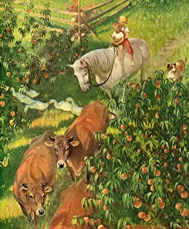Fenced: Kids Ride Thru Farm