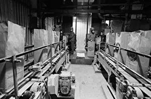 Packed: Kiembayevski plant