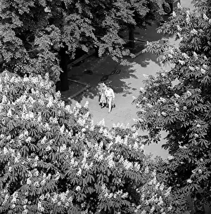 Kiev: Kiev, 1977