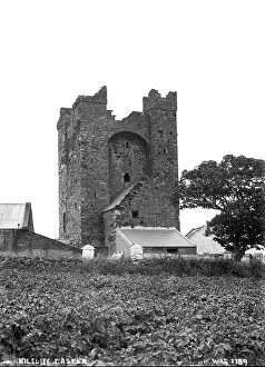 Strangford: Kilclief Castle
