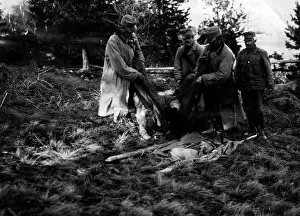 Recover: Killed Austrian soldiers