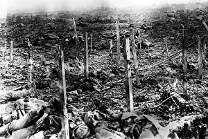 Casualties: Killed British soldiers at the Western Front, 1915
